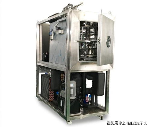 食品厂研发试验用小型冻干机设备选购指南