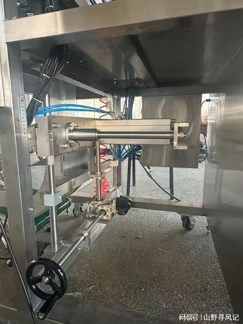 蛋白肽包装机热门厂家推荐 实力与适配性深度解析
